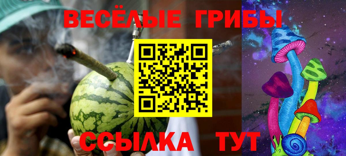 Псилоцибиновые грибы Psilocybine cubensis  Вход с VPN  Касимов 