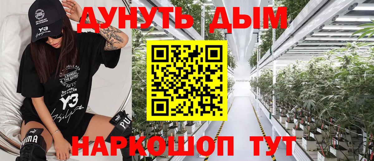 Бошки Шишки семена Касимов